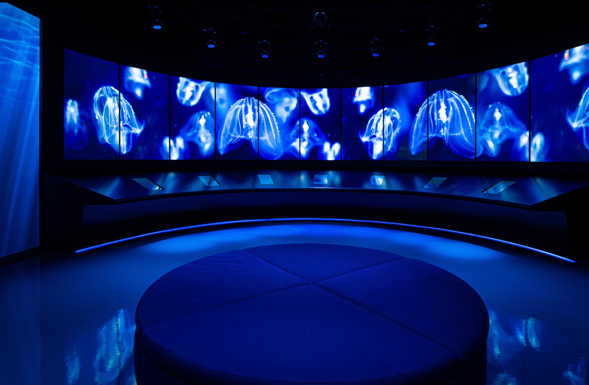 Installation View 3