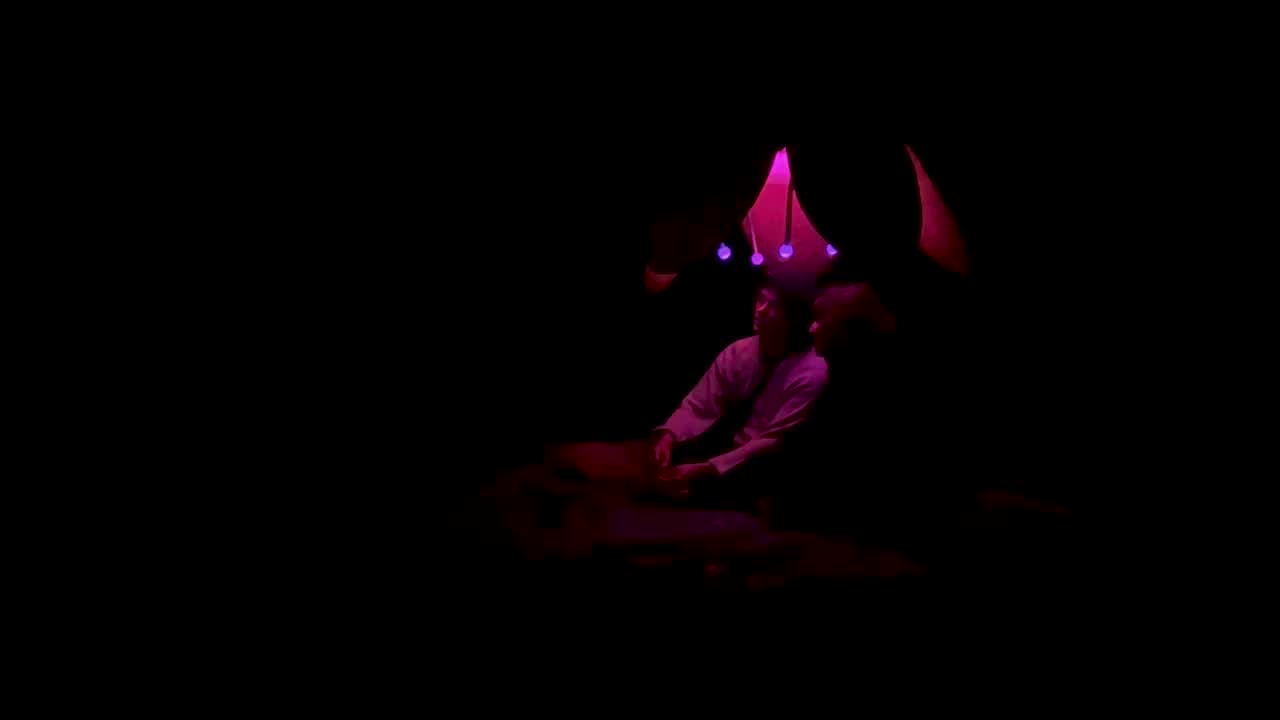Visitor Experience