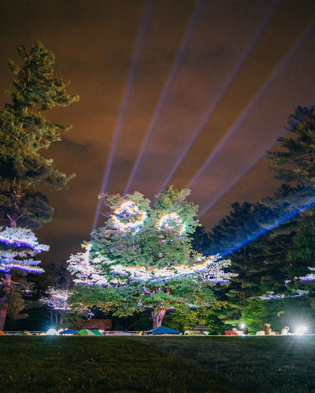 Laser through the trees